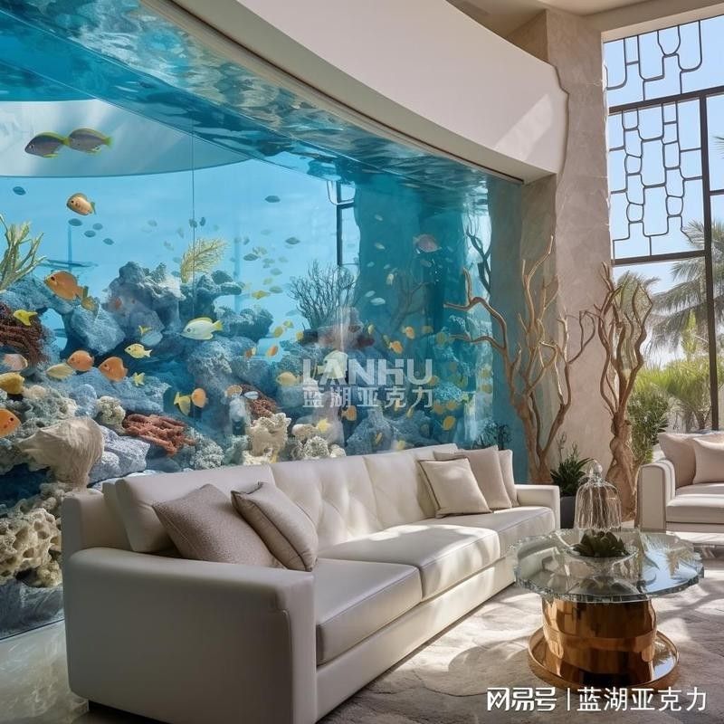 龍魚缸的材質哪種最好 龍魚缸的材質哪種最好 龍魚百科 第13張