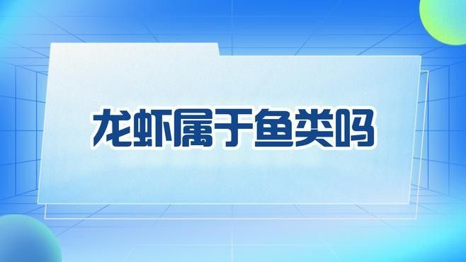龍魚和龍蝦有什么關系（魚和龍蝦在生物學上沒有直接關系）