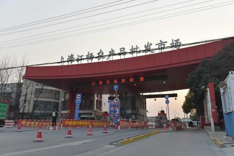給我推薦幾家上海的水產商戶(上海最大的水產品批發市場之一**上海水產市場) 龍魚百科 第5張 給我推薦幾家上海的水產商戶(上海最大的水產品批發市場之一**上海水產市場) 給我推薦幾家上海的水產商戶(上海最大的水產品批發市場之一**上海水產市場) 龍魚百科 第5張