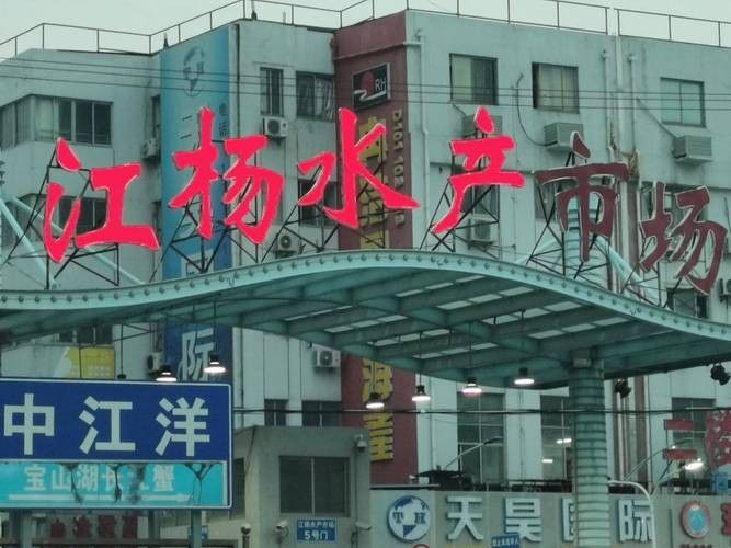 給我推薦幾家上海的水產商戶(上海最大的水產品批發市場之一**上海水產市場) 龍魚百科 第3張 給我推薦幾家上海的水產商戶(上海最大的水產品批發市場之一**上海水產市場) 給我推薦幾家上海的水產商戶(上海最大的水產品批發市場之一**上海水產市場) 龍魚百科 第3張