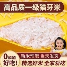 金龍魚泰國香米批發價格（金龍魚泰國香米批發價格、圖片、排行）