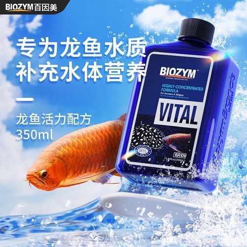 龍魚維他命哪個牌子口碑最好（魚活力素觀賞水族魚活力素觀賞水族魚活力素觀賞水族魚活力配方） 龍魚維他命哪個牌子口碑最好（魚活力素觀賞水族魚活力素觀賞水族魚活力素觀賞水族魚活力配方） 龍魚百科 第4張