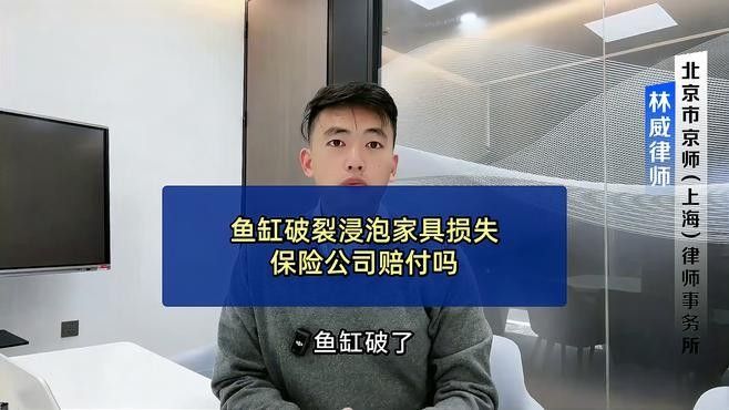 銀龍魚撞缸是什么原因造成的（為什么金龍魚老撞缸）（金龍魚在魚缸中頻繁撞擊缸壁或魚缸本身是由多種原因造成的） 銀龍魚撞缸是什么原因造成的（為什么金龍魚老撞缸）（金龍魚在魚缸中頻繁撞擊缸壁或魚缸本身是由多種原因造成的） 觀賞魚百科 第8張