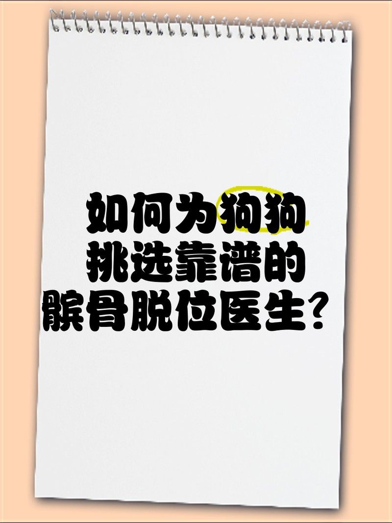 如何選擇合適的獸醫進行手術（合適的獸醫進行手術是確保手術成功和患者安全的關鍵） 如何選擇合適的獸醫進行手術（合適的獸醫進行手術是確保手術成功和患者安全的關鍵） 龍魚百科 第5張