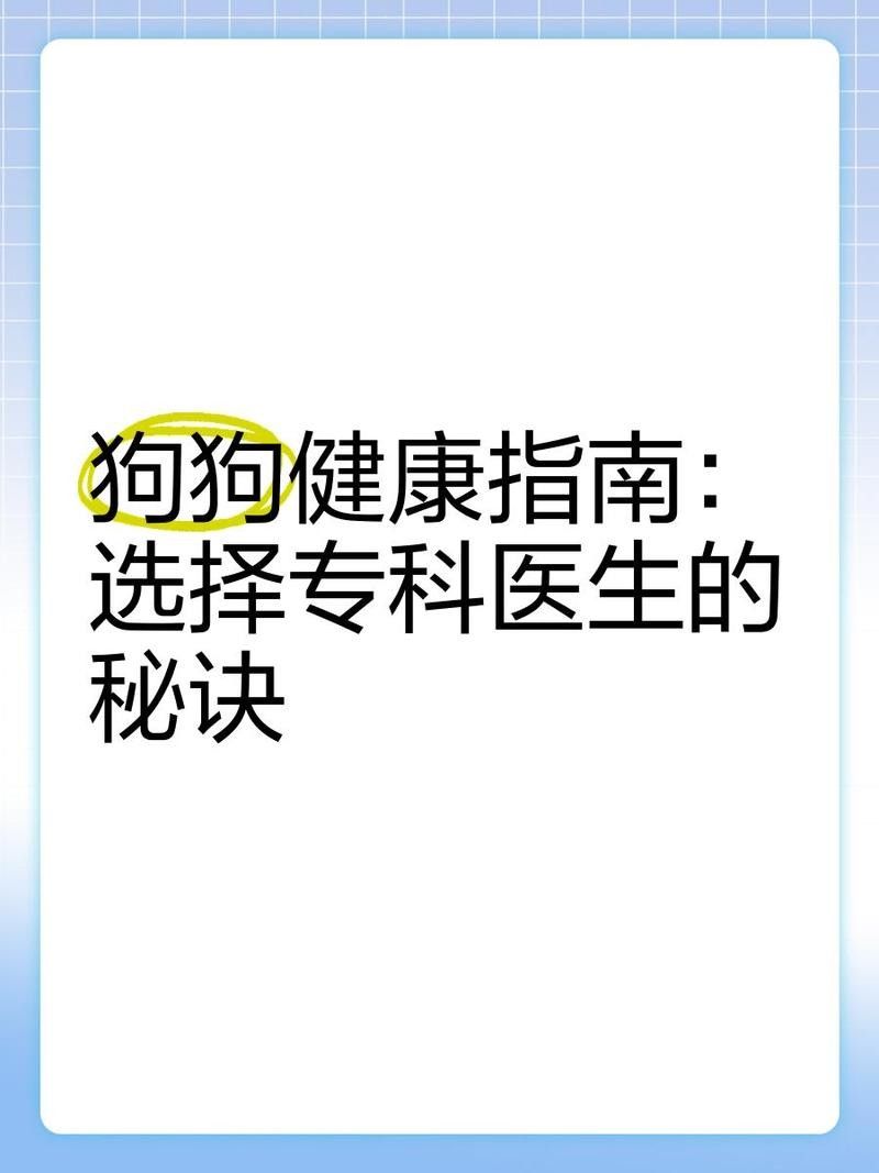 如何選擇合適的獸醫進行手術（合適的獸醫進行手術是確保手術成功和患者安全的關鍵） 如何選擇合適的獸醫進行手術（合適的獸醫進行手術是確保手術成功和患者安全的關鍵） 龍魚百科 第3張