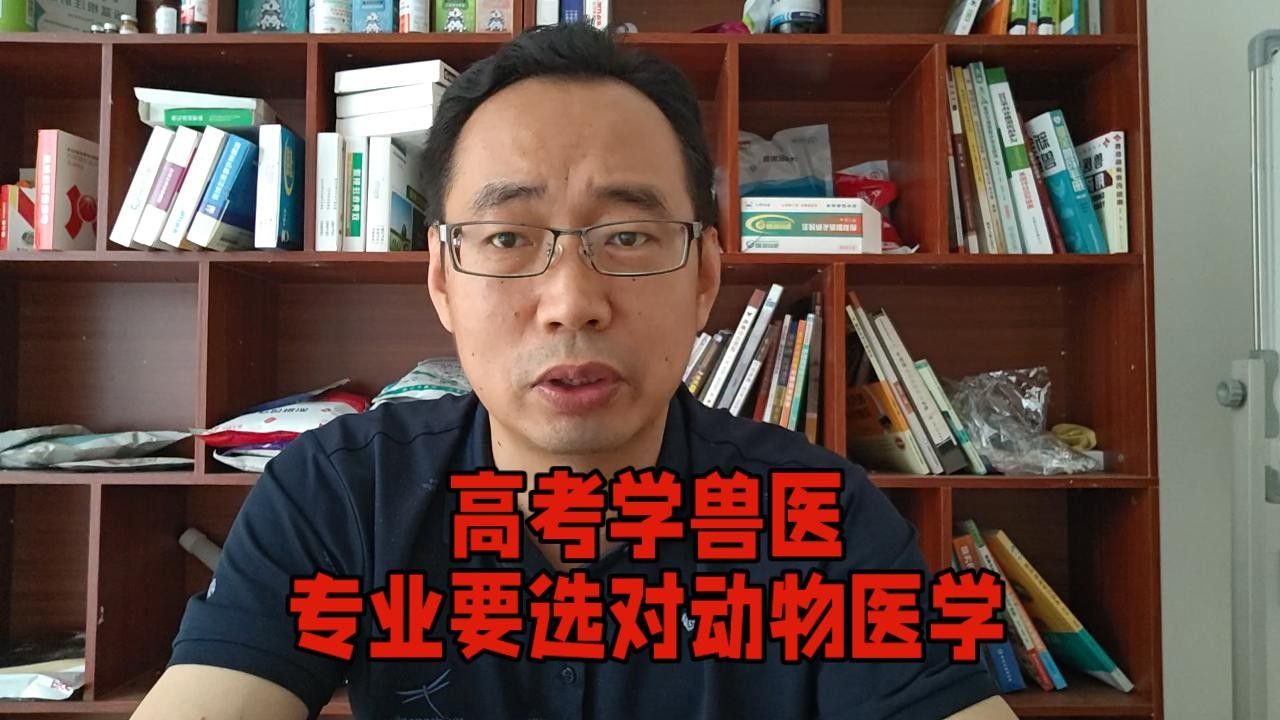 如何選擇合適的獸醫進行手術（合適的獸醫進行手術是確保手術成功和患者安全的關鍵） 如何選擇合適的獸醫進行手術（合適的獸醫進行手術是確保手術成功和患者安全的關鍵） 龍魚百科 第2張
