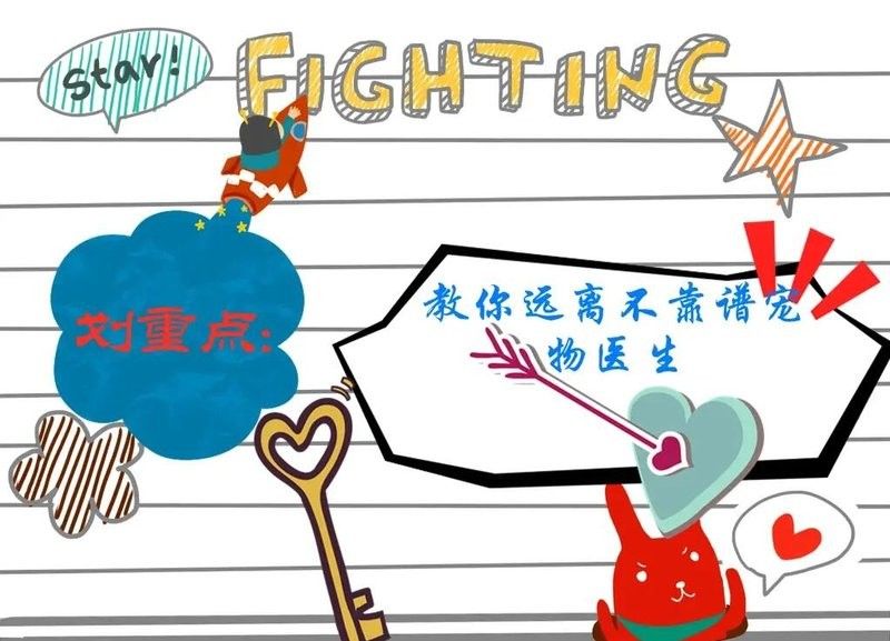 如何選擇合適的獸醫進行手術（合適的獸醫進行手術是確保手術成功和患者安全的關鍵） 如何選擇合適的獸醫進行手術（合適的獸醫進行手術是確保手術成功和患者安全的關鍵） 龍魚百科 第7張