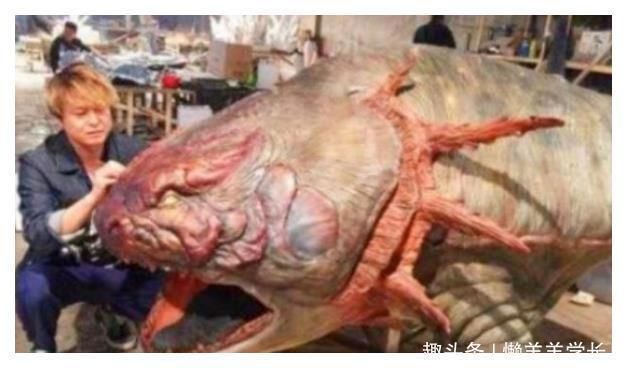 恐龍王魚，恐龍王魚的繁殖技巧，恐龍王魚的飼養誤區，