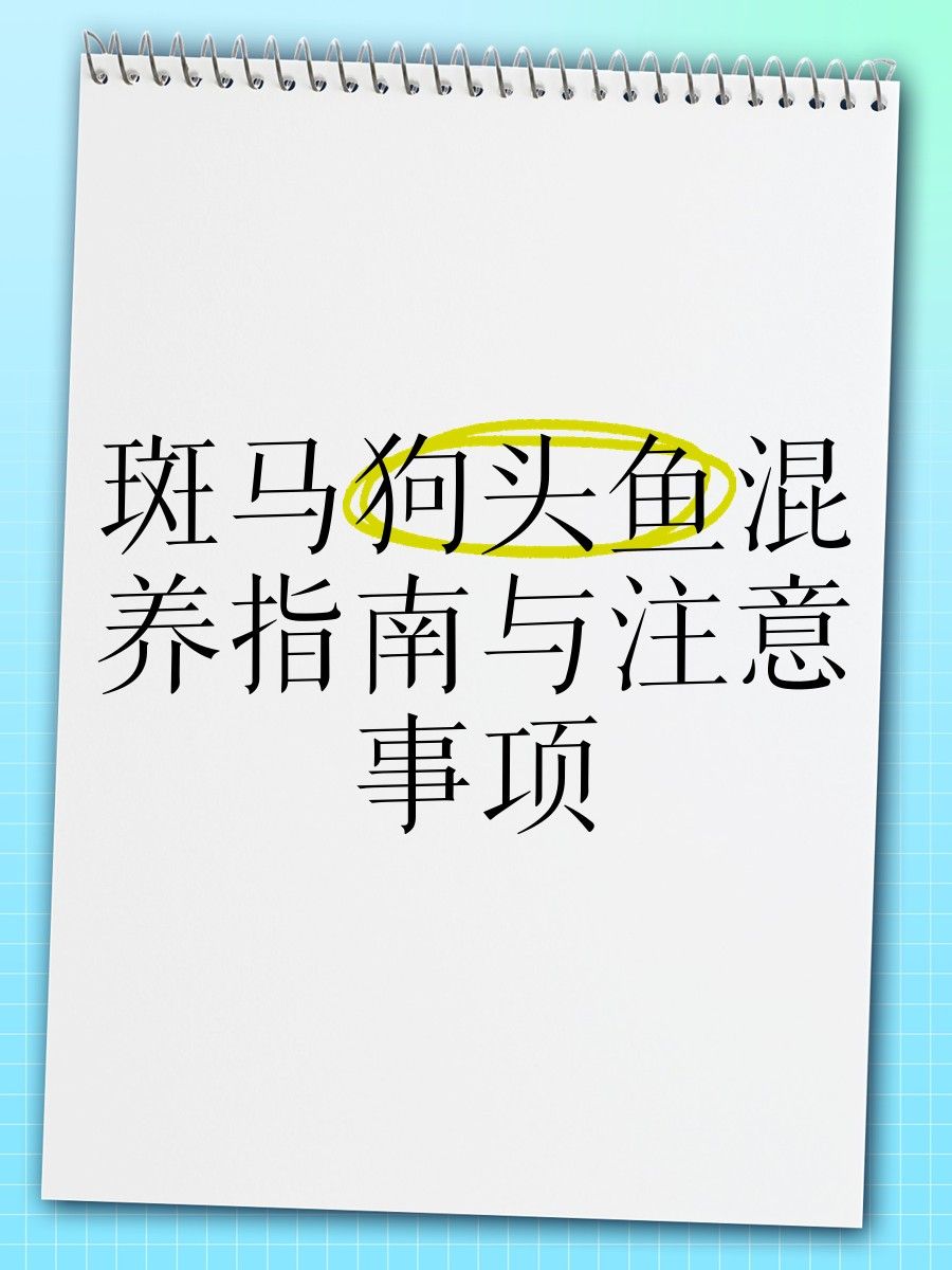 如何降低斑馬狗頭魚與龍魚混養的風險（如何降低狗頭魚與龍魚混養的風險）