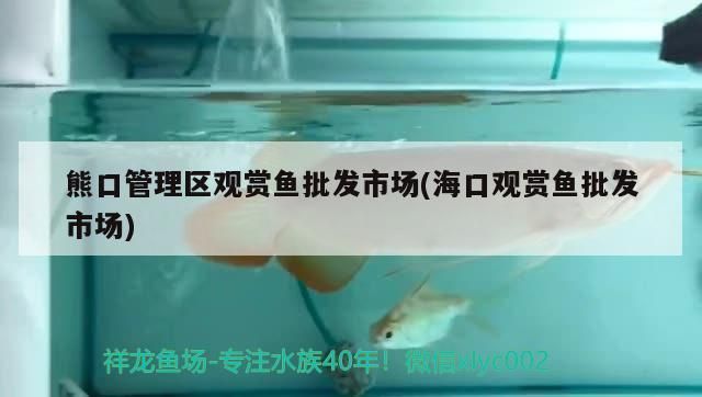 熊口管理區觀賞魚批發市場(<strong><mark>海口</mark></strong>觀賞魚批發市場)