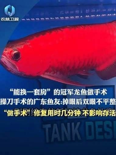 龍魚單側(cè)掉眼手術(shù)風(fēng)險(xiǎn)大嗎？