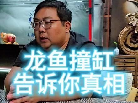 龍魚撞缸時(shí)應(yīng)該如何處理（龍魚撞缸原因及解決方法詳解龍魚撞缸原因及解決辦法）