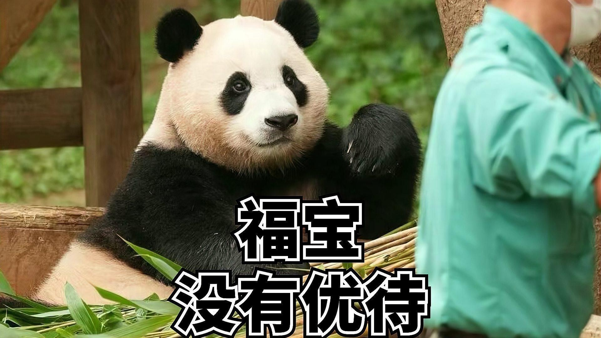 如何設置隔離區觀察混養效果？（如何設置隔離區以觀察混養效果的步驟）