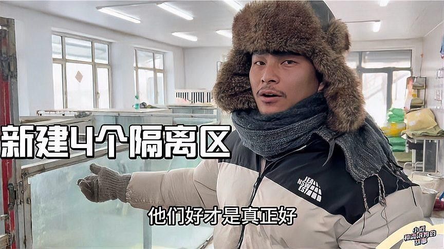 如何設置隔離區觀察混養效果？（如何設置隔離區以觀察混養效果的步驟）