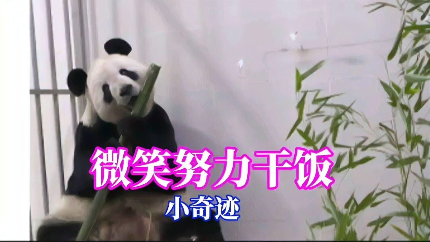如何設置隔離區觀察混養效果？（如何設置隔離區以觀察混養效果的步驟）