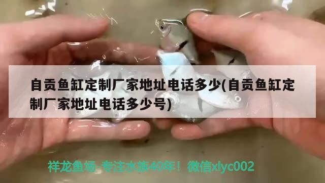 月光魚可以和孔雀魚一起養嗎(月光魚能和孔雀魚混養嗎)