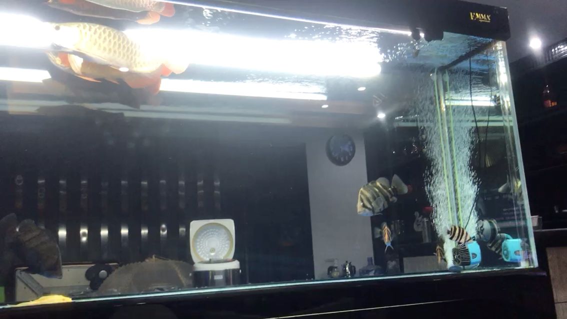 論停電的厲害性（今天朋友家突發(fā)情況停電20小時(shí)，他本人工作都是在外）
