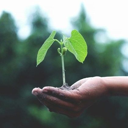 屬龍人2025年如何提升財運（2025年屬龍人如何提升財運）