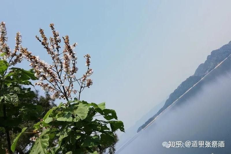 生龍地形選址需要哪些步驟（生龍地形選址需要注意什么？）