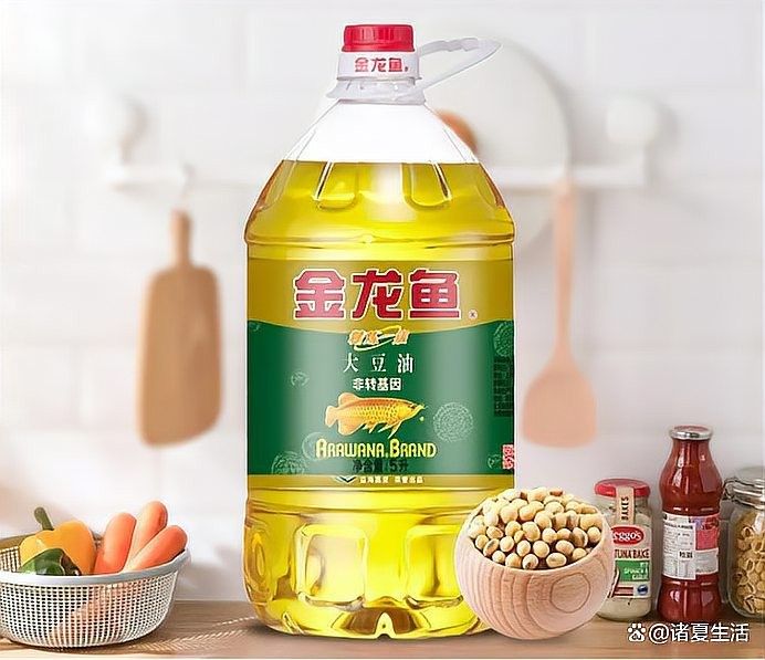鯊魚品牌屬于什么檔次（鯊魚品牌在服裝領域屬于中高端檔次嗎？）