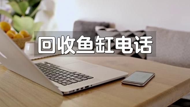 哪里可以找到回收金龍魚的商家（北京回收金龍魚商家） 哪里可以找到回收金龍魚的商家（北京回收金龍魚商家） 龍魚百科 第9張