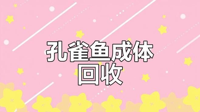 哪里可以找到回收金龍魚的商家（北京回收金龍魚商家） 哪里可以找到回收金龍魚的商家（北京回收金龍魚商家） 龍魚百科 第8張