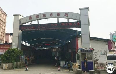 芳村新的花鳥市場在哪里啊:芳村花鳥魚蟲市場已經搬遷至荔灣區芳村龍溪大道廣州花卉博覽園內 觀賞魚百科 第1張 芳村新的花鳥市場在哪里啊:芳村花鳥魚蟲市場已經搬遷至荔灣區芳村龍溪大道廣州花卉博覽園內 芳村新的花鳥市場在哪里啊:芳村花鳥魚蟲市場已經搬遷至荔灣區芳村龍溪大道廣州花卉博覽園內 觀賞魚百科 第1張