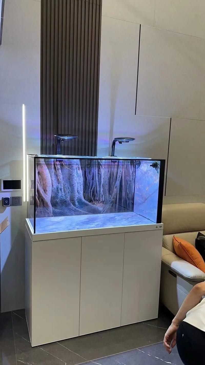 如何選擇適合龍魚缸的石頭（如何挑選適合龍魚缸的石頭） 如何選擇適合龍魚缸的石頭（如何挑選適合龍魚缸的石頭） 龍魚百科 第9張
