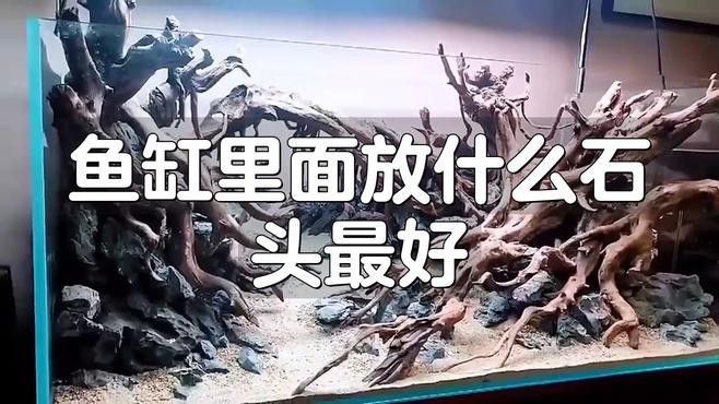 如何選擇適合龍魚缸的石頭（如何挑選適合龍魚缸的石頭） 如何選擇適合龍魚缸的石頭（如何挑選適合龍魚缸的石頭） 龍魚百科 第7張