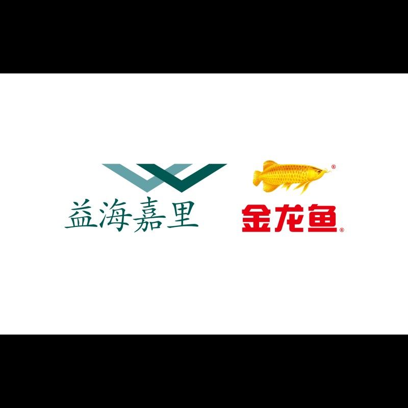 金龍魚生產廠家一覽表（金龍魚生產廠家一覽表：金龍魚生產廠家一覽表） 金龍魚生產廠家一覽表（金龍魚生產廠家一覽表：金龍魚生產廠家一覽表） 觀賞魚百科 第3張