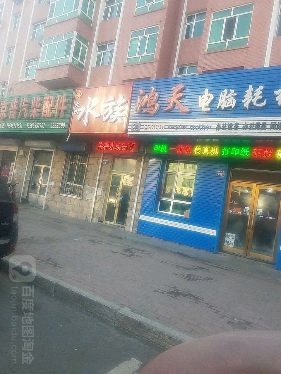 雞西哪個(gè)水族館龍魚(yú)好？祥龍魚(yú)場(chǎng)龍魚(yú)