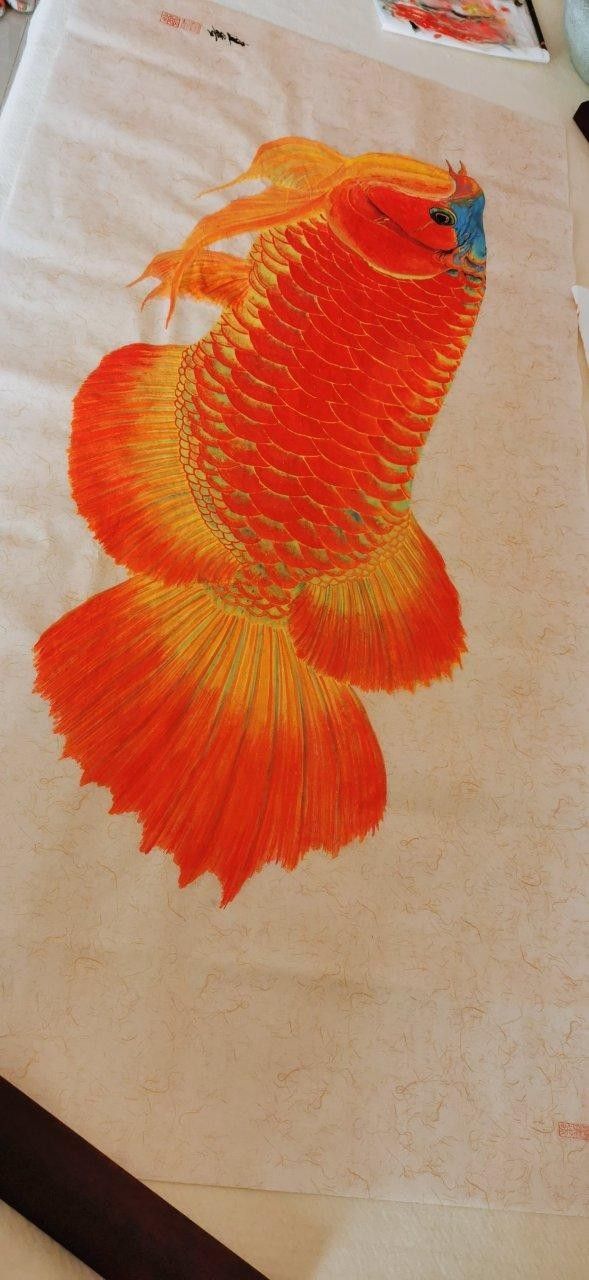 紅龍魚壁紙有哪些主題？（常見的紅龍魚壁紙主題：自然景觀、神話傳說、動物或抽象藝術）