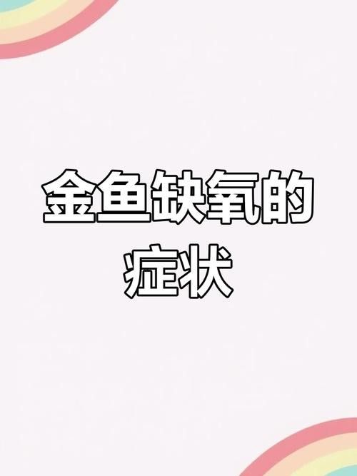 金龍魚不打氧能活多久？（金龍魚不打氧能活多久）