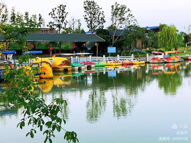 有沒有推薦的南京龍魚養殖場？（南京龍魚養殖場） 有沒有推薦的南京龍魚養殖場？（南京龍魚養殖場） 龍魚百科 第5張