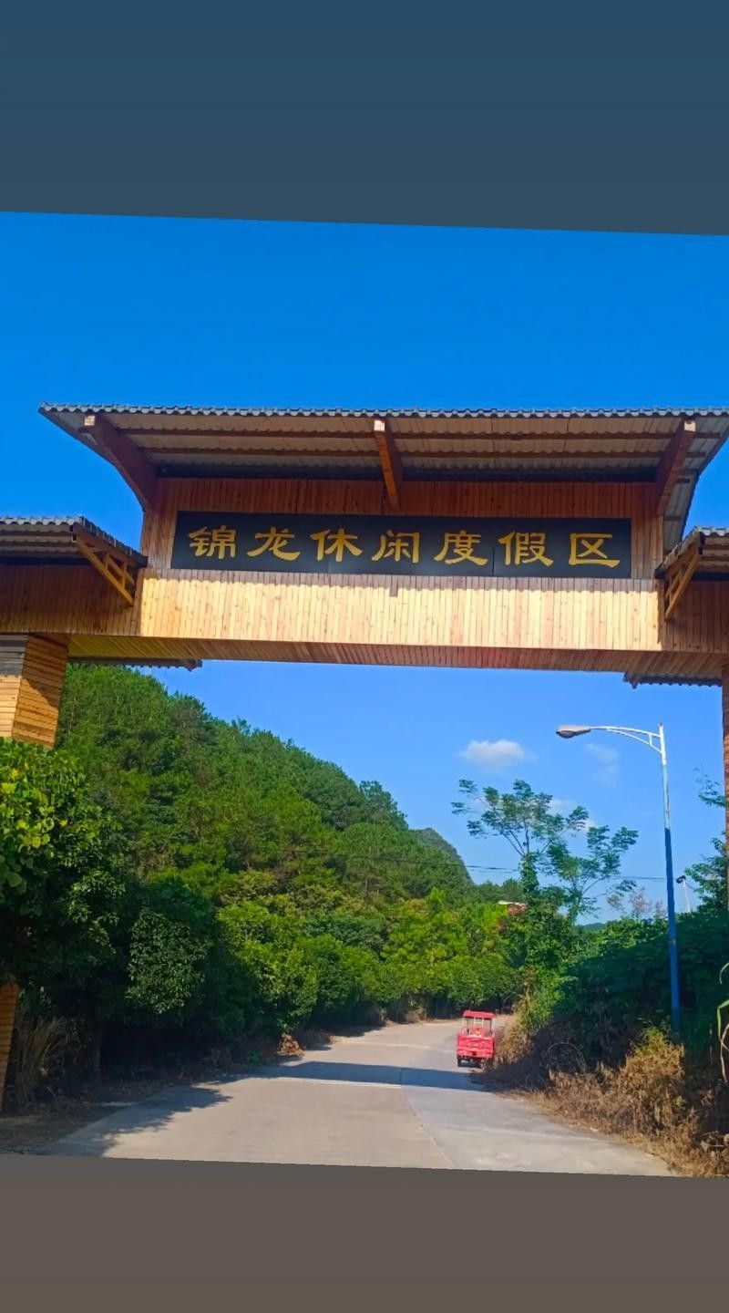 有沒有推薦的南京龍魚養殖場？（南京龍魚養殖場） 有沒有推薦的南京龍魚養殖場？（南京龍魚養殖場） 龍魚百科 第4張