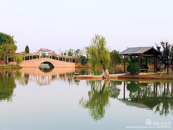 有沒有推薦的南京龍魚養殖場？（南京龍魚養殖場） 有沒有推薦的南京龍魚養殖場？（南京龍魚養殖場） 龍魚百科 第6張