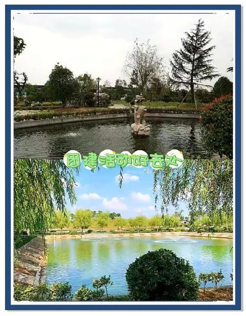 有沒有推薦的南京龍魚養殖場？（南京龍魚養殖場） 有沒有推薦的南京龍魚養殖場？（南京龍魚養殖場） 龍魚百科 第1張