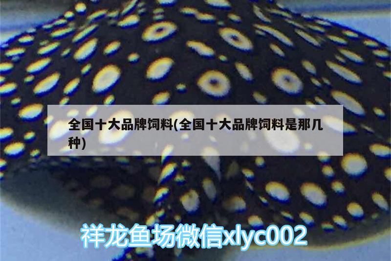 全國十大品牌飼料(全國十大品牌飼料是那幾種)（全國十大品牌飼料及牌電商廠家） 全國十大品牌飼料(全國十大品牌飼料是那幾種)（全國十大品牌飼料及牌電商廠家） 觀賞魚百科