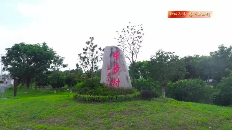 帝龍漁業和中步村基地哪個更好？ 帝龍漁業和中步村基地哪個更好？ 龍魚百科 第6張