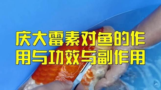 慶大霉素對龍魚有副作用嗎？（慶大霉素對龍魚是否有副作用）
