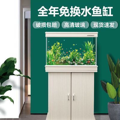 金龍魚淘寶旗艦店（金龍魚淘寶旗艦店是正品嗎）（金龍魚淘寶店購物攻略——正品保證，品質放心購！）