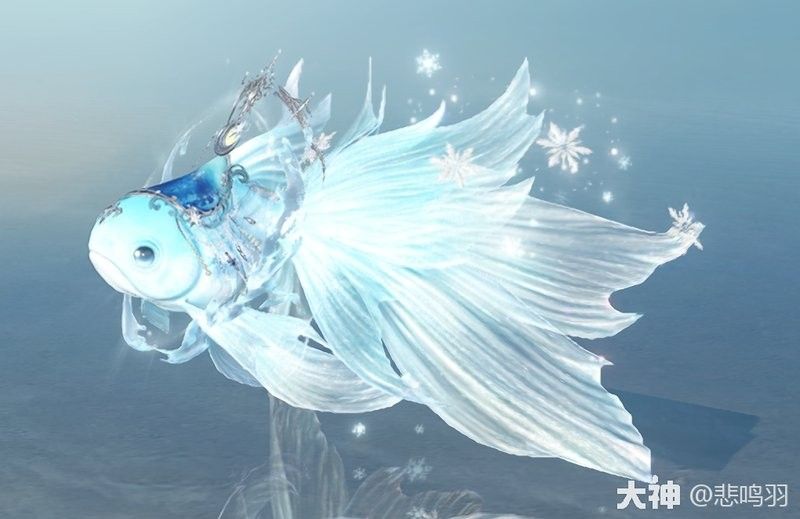 如何獲取過江龍魚的高清大圖（男子在菜市場發(fā)現(xiàn)稀有海魚,魚身發(fā)綠鱗片晶瑩,網(wǎng)友:感覺吃不起） 如何獲取過江龍魚的高清大圖（男子在菜市場發(fā)現(xiàn)稀有海魚,魚身發(fā)綠鱗片晶瑩,網(wǎng)友:感覺吃不起） 龍魚百科 第4張