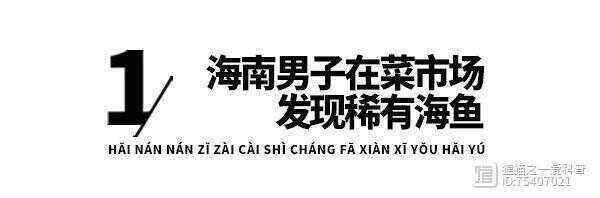如何獲取過江龍魚的高清大圖（男子在菜市場發(fā)現(xiàn)稀有海魚,魚身發(fā)綠鱗片晶瑩,網(wǎng)友:感覺吃不起） 如何獲取過江龍魚的高清大圖（男子在菜市場發(fā)現(xiàn)稀有海魚,魚身發(fā)綠鱗片晶瑩,網(wǎng)友:感覺吃不起） 龍魚百科 第3張