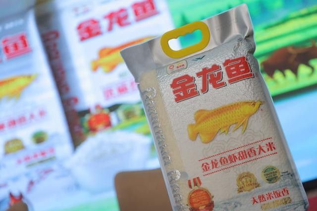 金龍魚中央廚房的預(yù)制菜價(jià)格如何？（金龍魚中央廚房預(yù)制菜價(jià)格親民，金龍魚中央廚房預(yù)制菜價(jià)格）