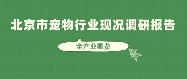 這些地方的養殖基地規模如何？（北京養殖基地規模如何） 這些地方的養殖基地規模如何？（北京養殖基地規模如何） 龍魚百科 第6張