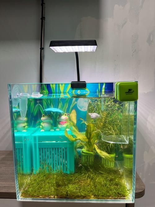 魚缸水族照明led燈（魚缸水族led照明燈的選擇）