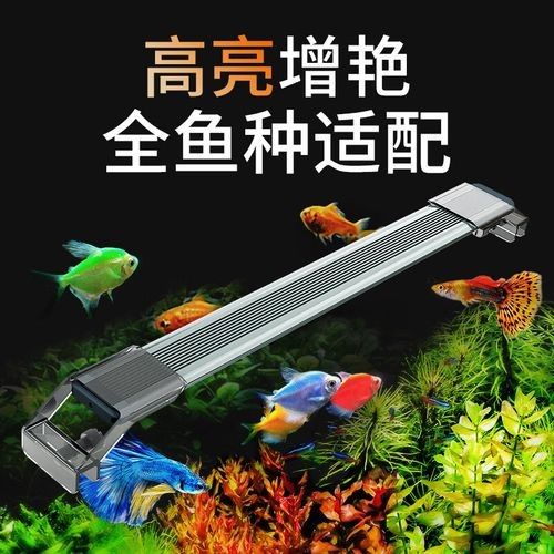 魚缸水族照明led燈（魚缸水族led照明燈的選擇）