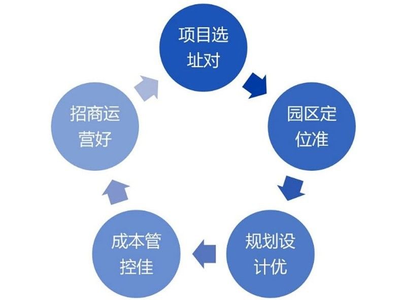 如何為龍魚魚缸選擇合適的水草？，龍魚缸水草搭配清單
