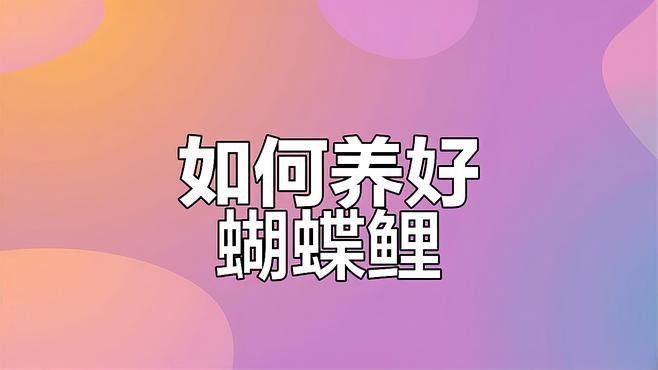 如何調節蝴蝶鯉和龍魚的水質？（蝴蝶鯉和龍魚的養殖方法）