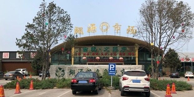 葫蘆群島龍魚市場在哪里？（葫蘆島市龍港區(qū)與龍魚相關(guān)的市場主要有兩個(gè)：若需更專業(yè)）